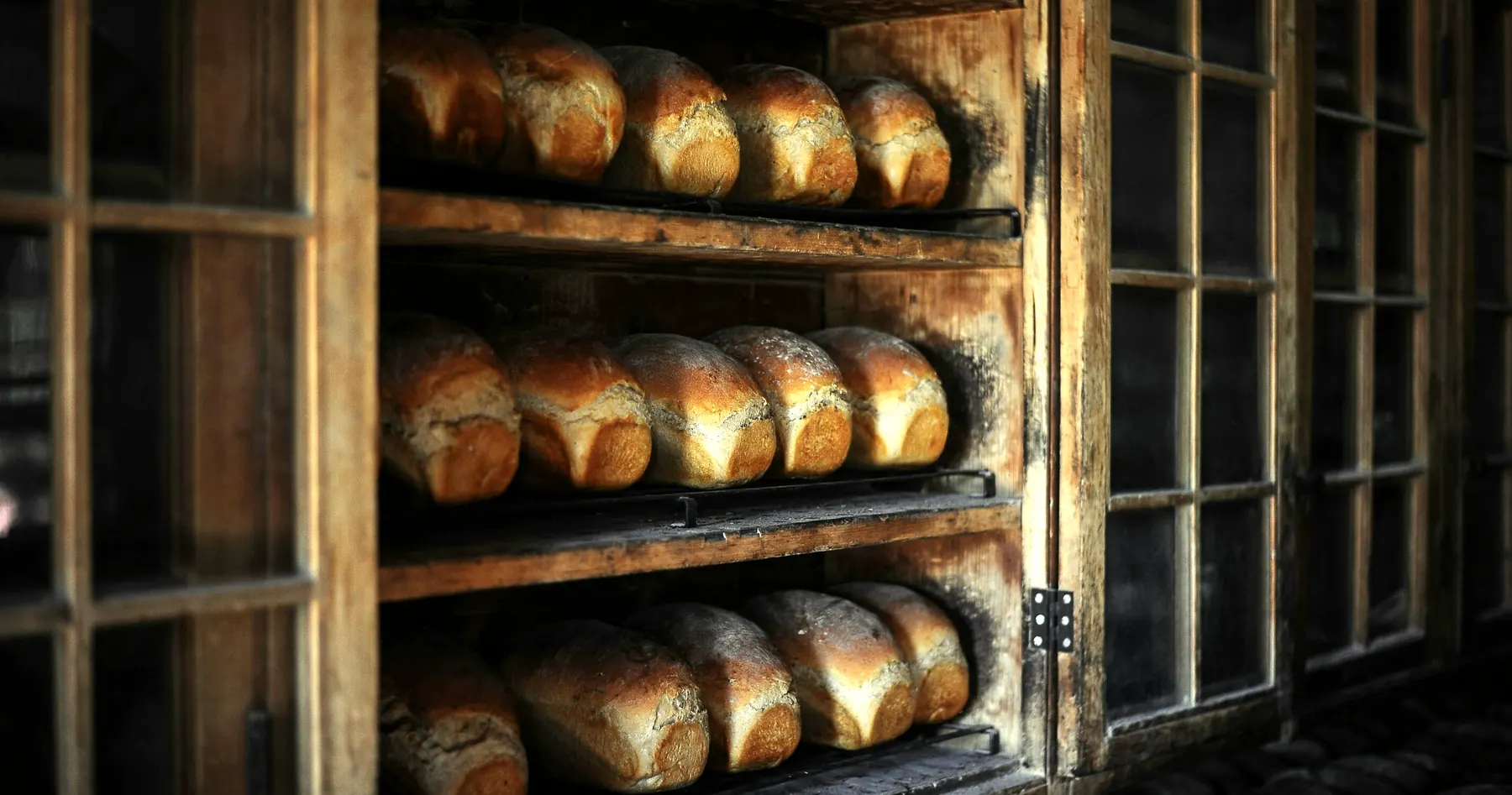 Pains alignés sur les étagères de la boulangerie